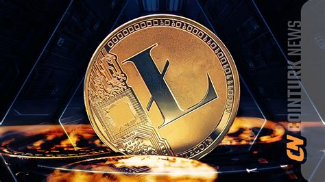 Litecoin (LTC): Understanding Its Market Position